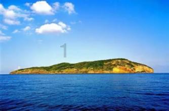 胶粘剂对接接头试样夹具拉伸强度测定试件装置试验仪GBT6329